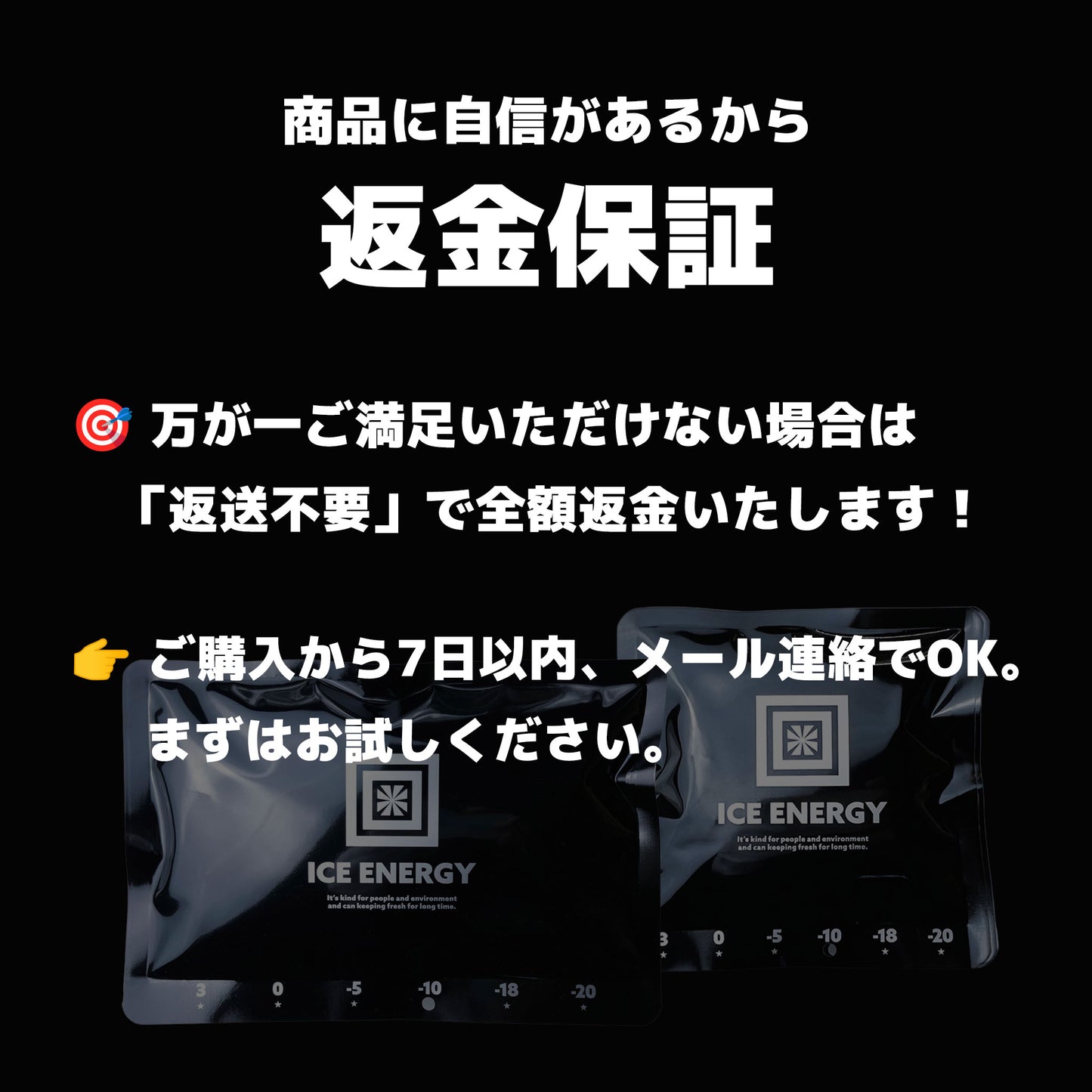 【返金保証付き】アイスエナジー 300 | -10℃ 保冷剤 日本製|複数購入割引|送料無料
