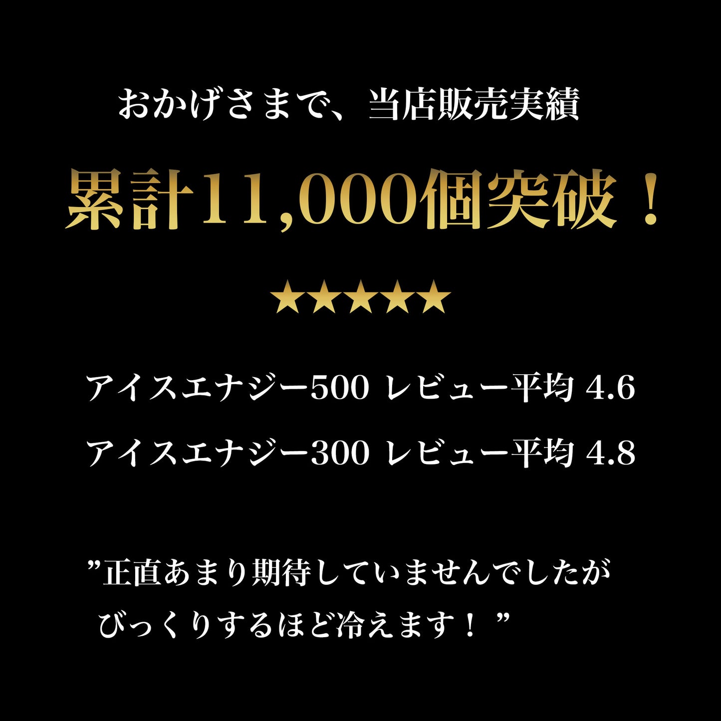 【返金保証付き】アイスエナジー 500 ｜ -10℃ 保冷剤 日本製｜複数購入割引｜送料無料