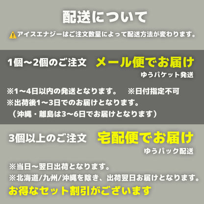 【返金保証付き】アイスエナジー 300 ｜ -10℃ 保冷剤 日本製｜複数購入割引｜送料無料