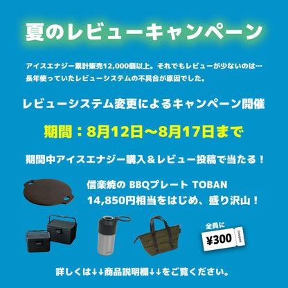 【返金保証付き】アイスエナジー 500 ｜ -10℃ 保冷剤 日本製｜複数購入割引｜送料無料