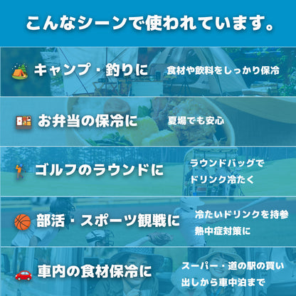 【返金保証付き】アイスエナジー 500 ｜ -10℃ 保冷剤 日本製｜複数購入割引｜送料無料